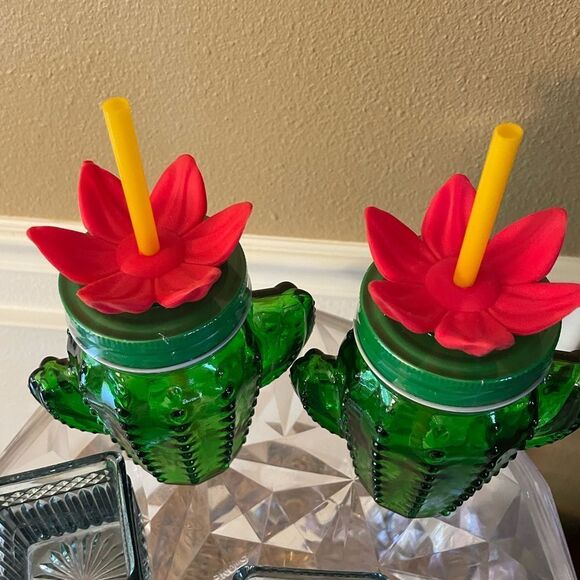 Target Bullseye Glass Cactus Flower Mason Jar Glasses set of 2 Sealed! - Picture 7 of 16